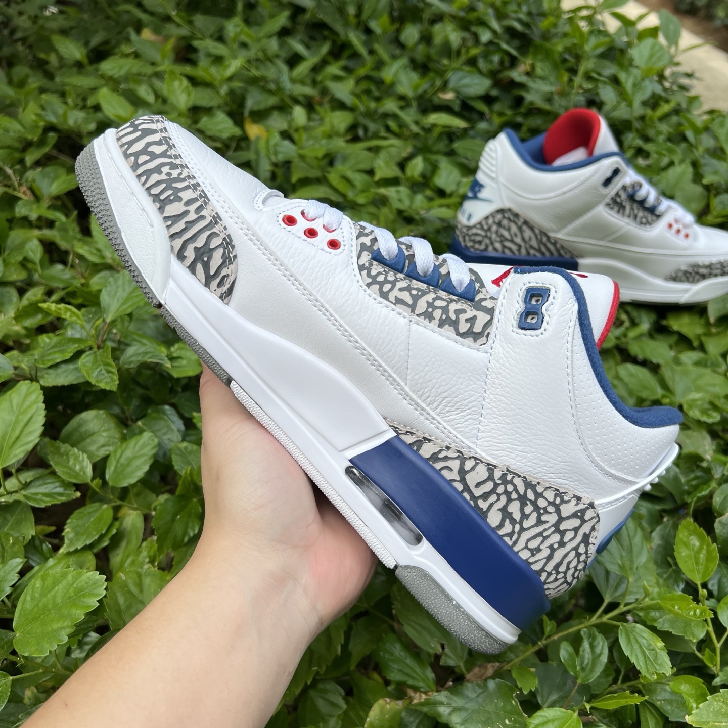 Nike Jordan shoe